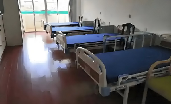 帝蒙的使徒