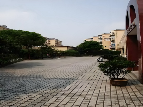 葬花颜